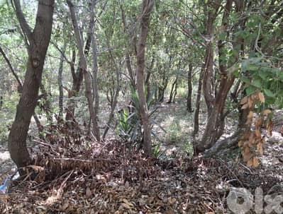 580m2 Land in Mazraat yachouh,metn عقار للبيع في مزرعة يشوع