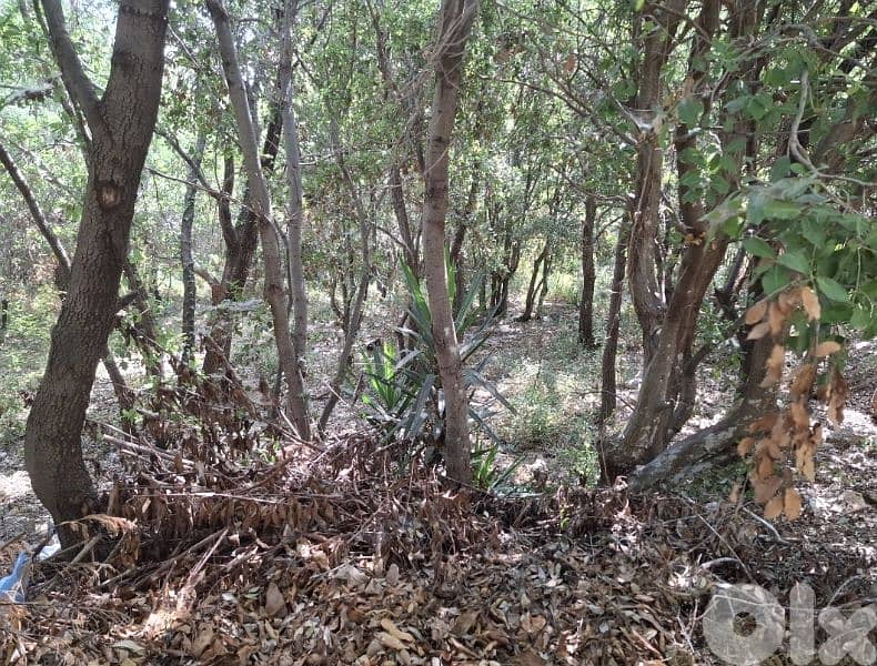 580m2 Land in Mazraat yachouh,metn عقار للبيع في مزرعة يشوع 0