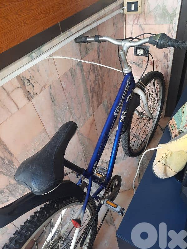 bicycle 0