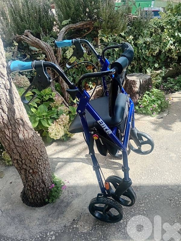 walker Elite for Seniors 7