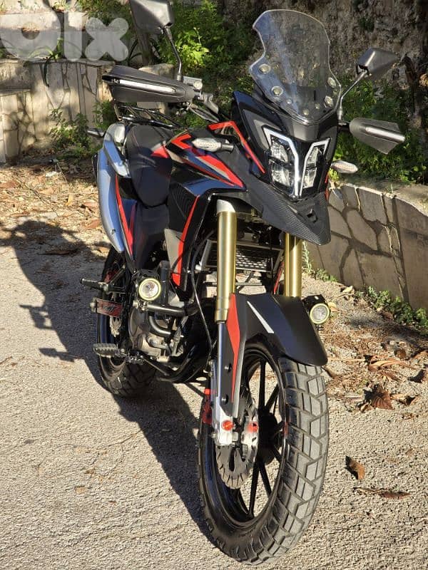 moto bmfw cross 2024 0