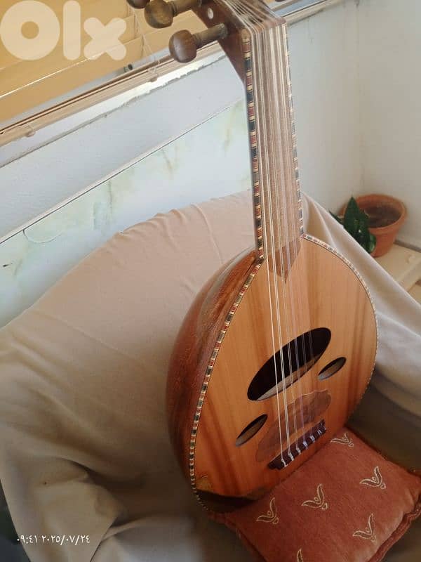 عود  جميل بسعر جميل 8