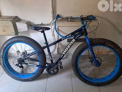 Bike (fat)