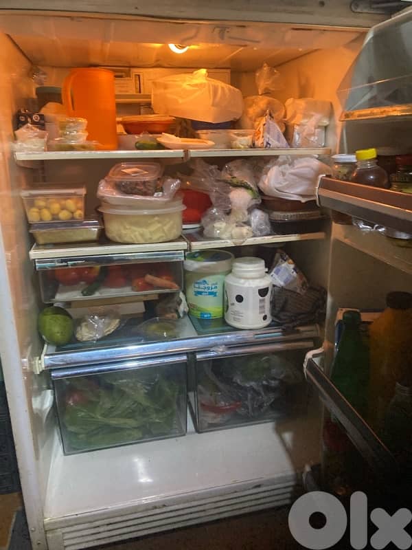 General Electric fridge 3