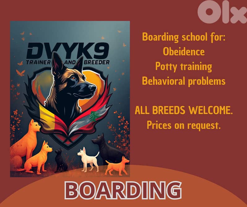 Hotel, day-care and boarding training for all breeds 0