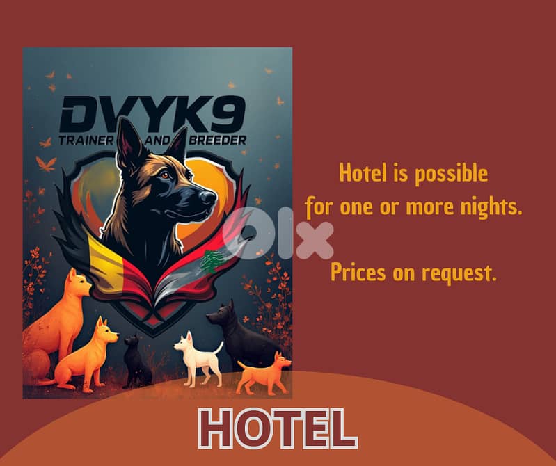 Hotel, day-care and boarding training for all breeds 1