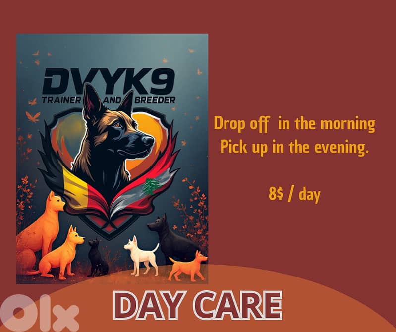 Hotel, day-care and boarding training for all breeds 2