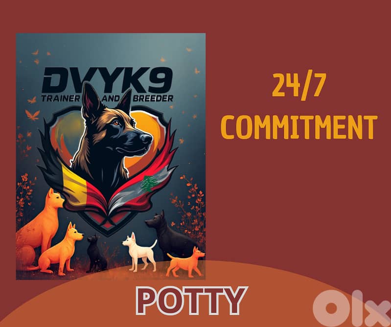 Hotel, day-care and boarding training for all breeds 3