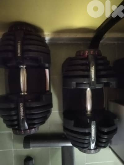 Adjustable weights