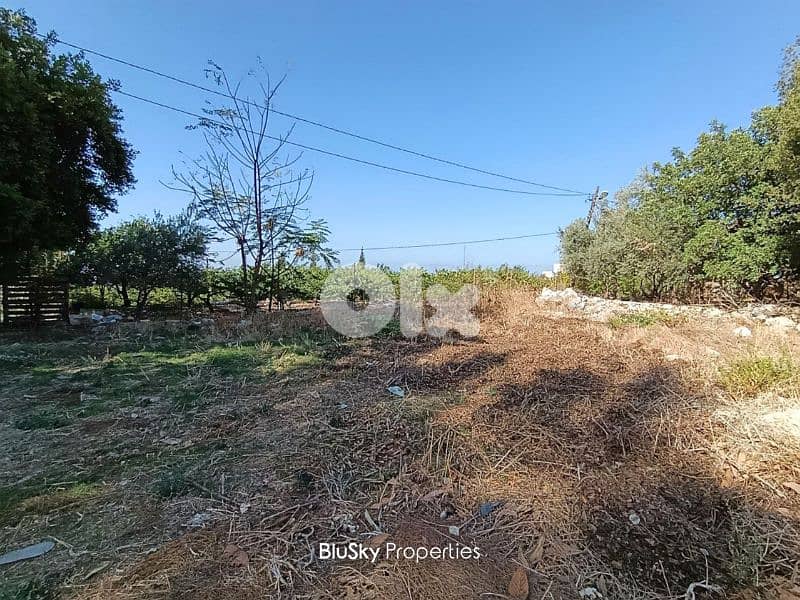 Land For SALE In Amchit أرض للبيع #ES 0