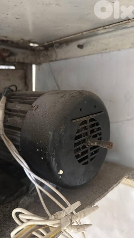 رقاقة عجين وطنية 3