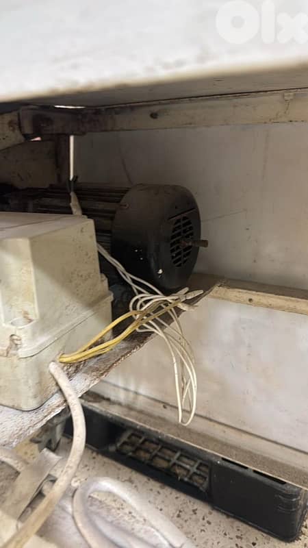 رقاقة عجين وطنية 4