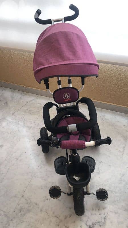 Tricycle 1