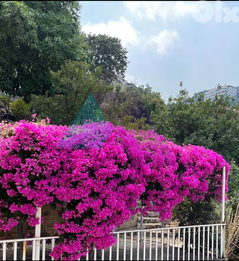 170m2 apartment+garden+open view 4sale in Ain El Rihaneh- عين الريحانة 0