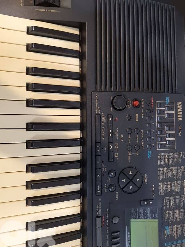 اورغ يامها شرقي وغربي 0