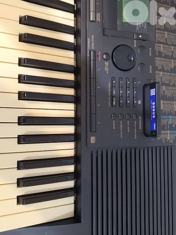 اورغ يامها شرقي وغربي 1