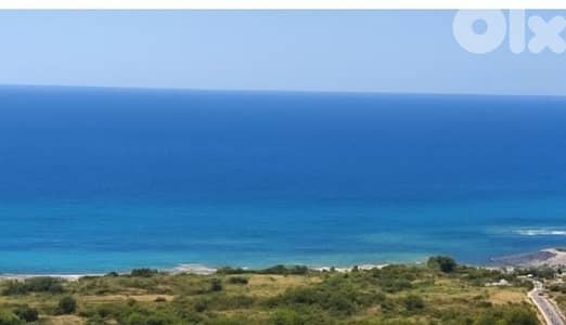land for sale in kfar Abida أرض للبيع في كفرعبيدا