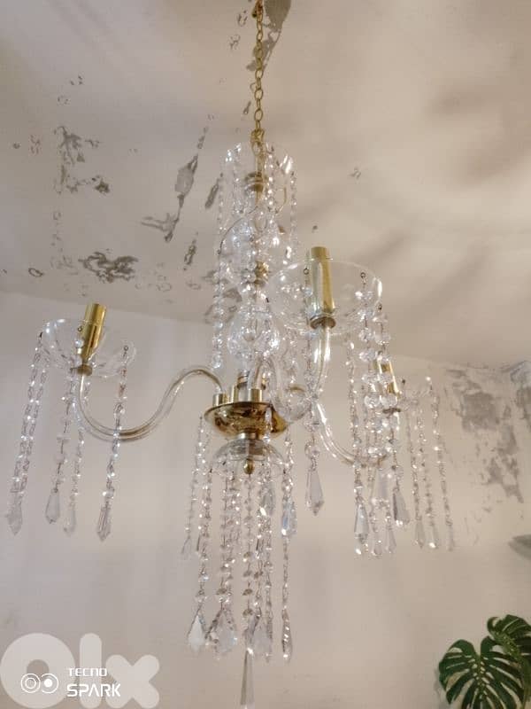 صيدا بيساريه 6