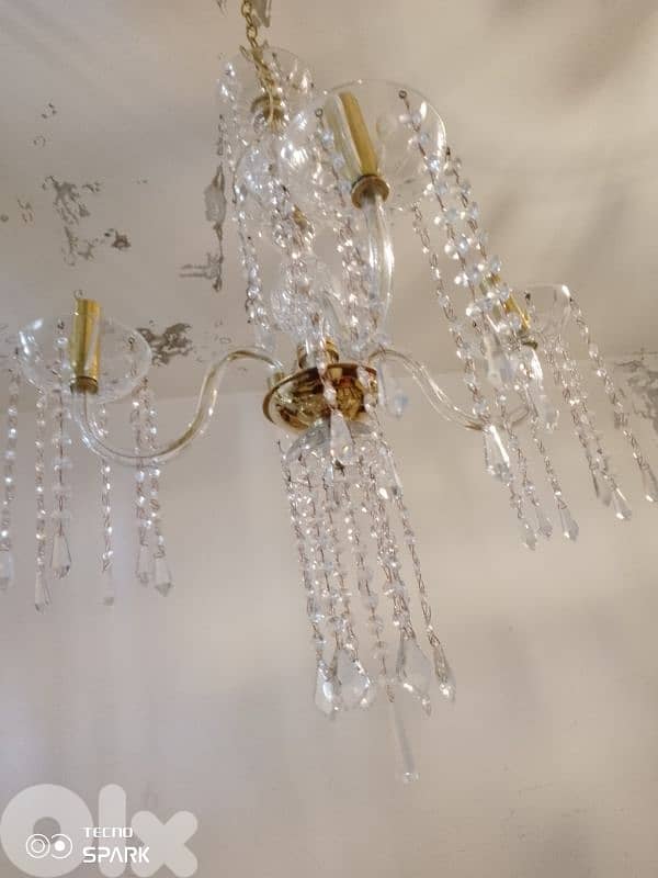 صيدا بيساريه 7