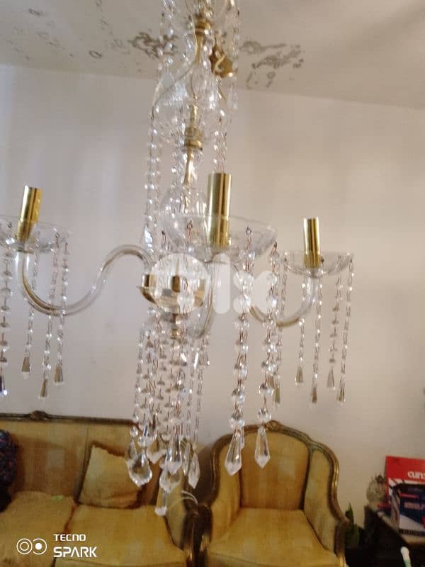 صيدا بيساريه 8