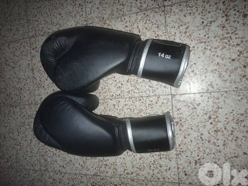 smarty gloves 14:oz 1