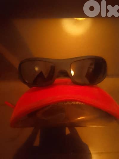 Polex Sunglasses