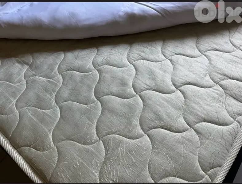 فرشة مفرد ونص 0