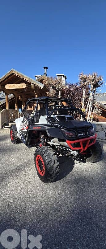 arctic cat wild cat 1000 cc 2