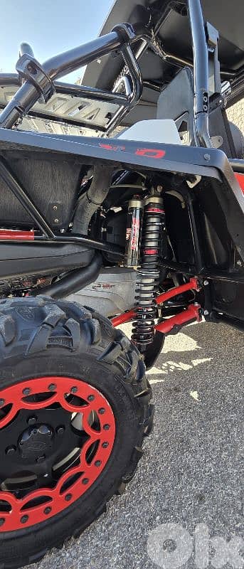 arctic cat wild cat 1000 cc 4