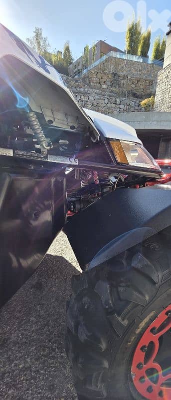 arctic cat wild cat 1000 cc 5