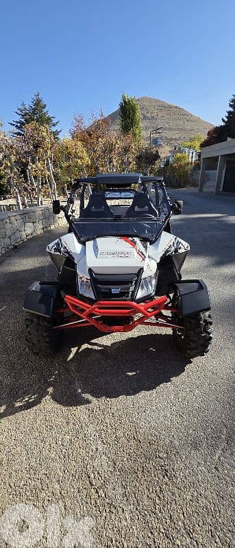arctic cat wild cat 1000 cc 6