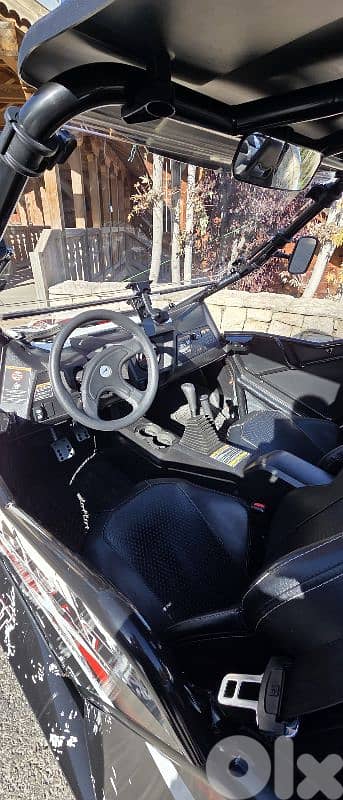 arctic cat wild cat 1000 cc 7