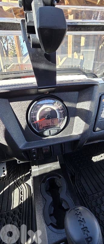 arctic cat wild cat 1000 cc 10