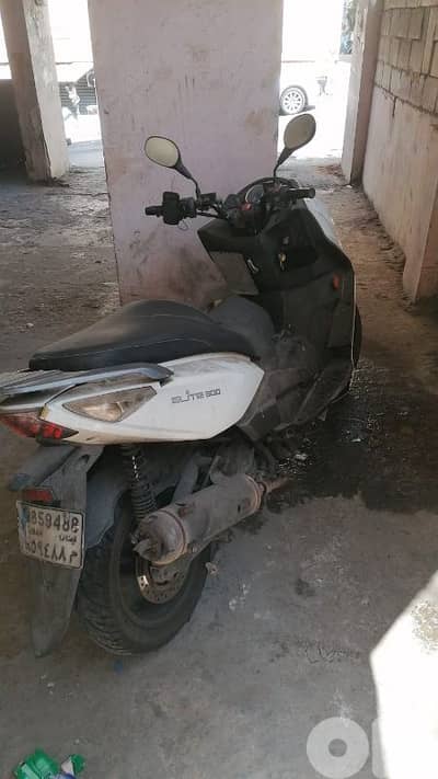 موتسيك تايواني
