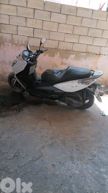 موتسيك تايواني 2