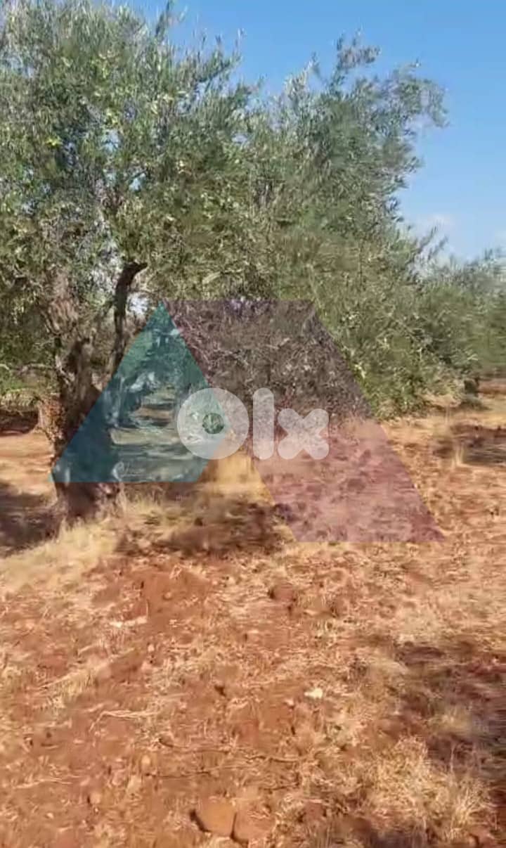 526m2 land+mountain view 4sale in Kousba/Koura - أرض للبيع في كوسبا 0