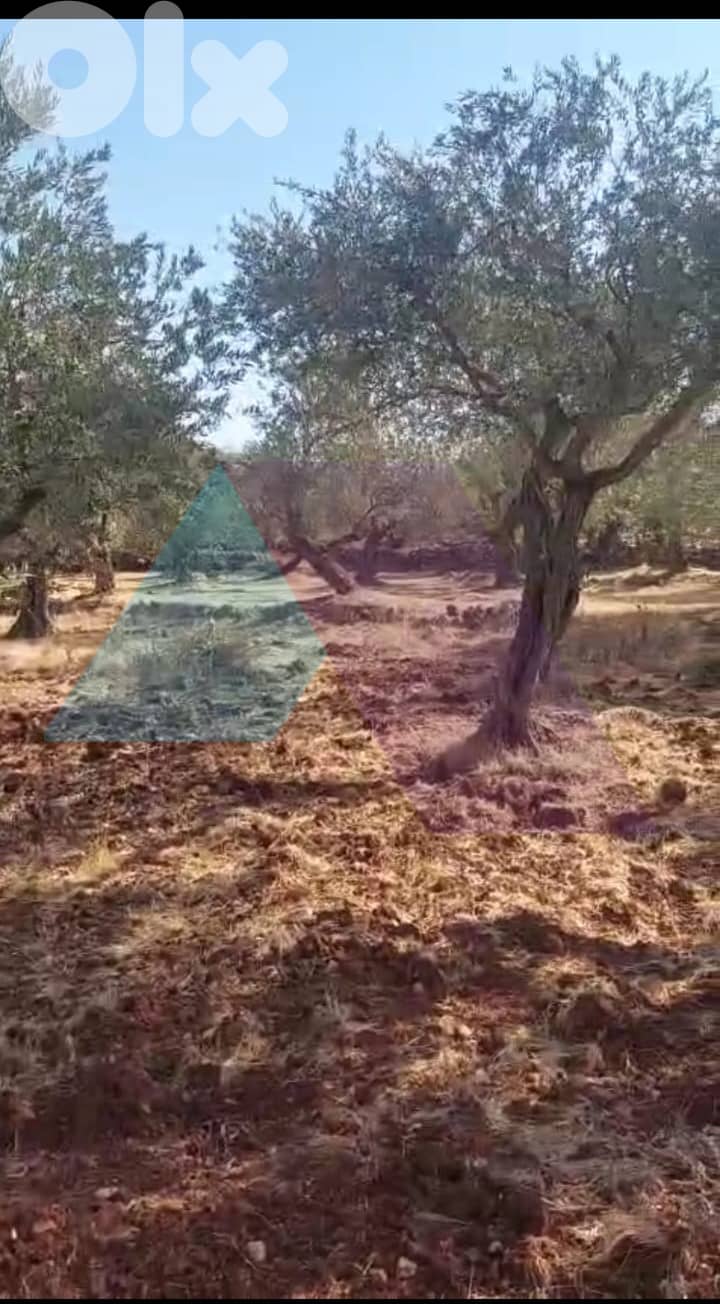 526m2 land+mountain view 4sale in Kousba/Koura - أرض للبيع في كوسبا 1