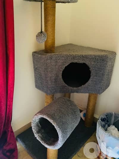 pet tunnel