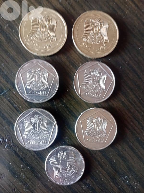 طرابلس أبي سمرا منطقة الحاووظ 5