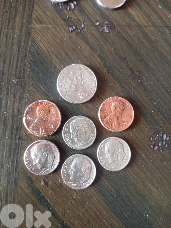 طرابلس أبي سمرا منطقة الحاووظ 8