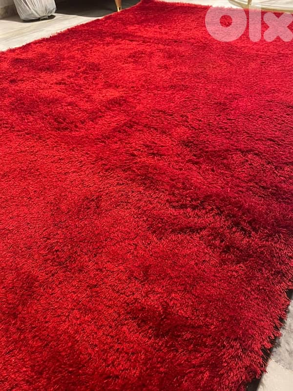 سجاد جديد للبيع 2