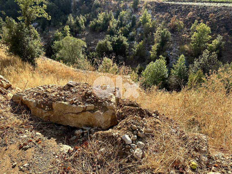 RWK114DZ - Land For Sale in Mayrouba - أرض للبيع في ميروبا 1