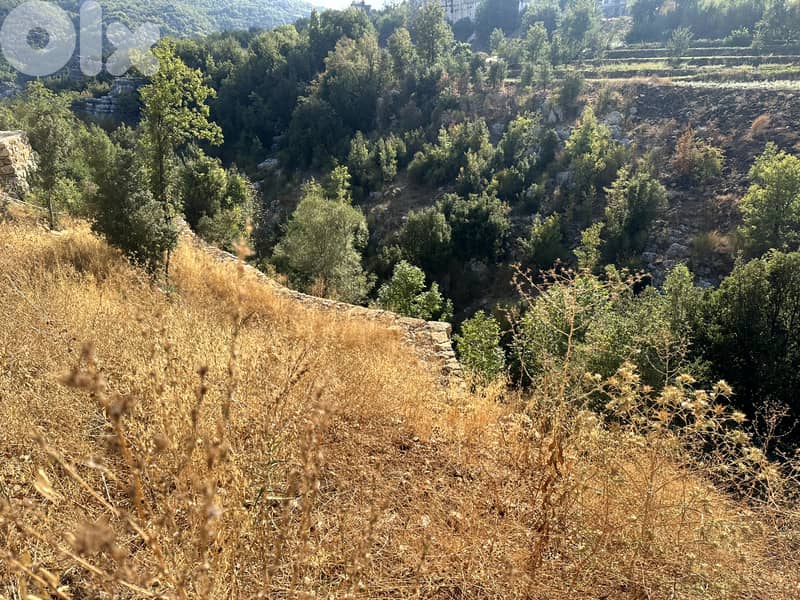 RWK114DZ - Land For Sale in Mayrouba - أرض للبيع في ميروبا 3