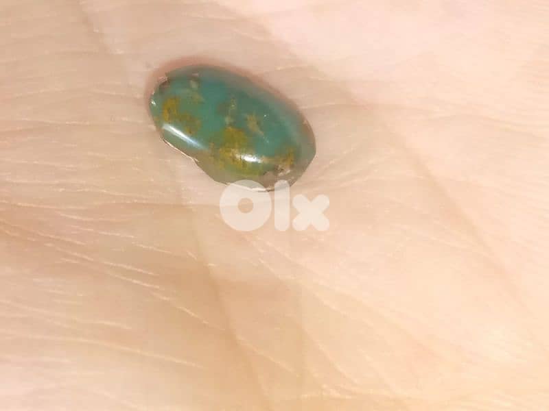 فيروز ايراني اصلي 1