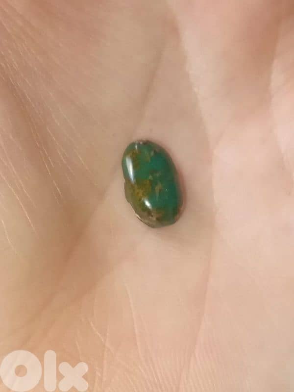 فيروز ايراني اصلي 2