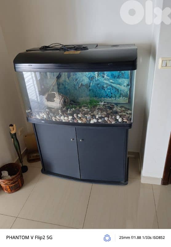 فرش بيت كتير نضيف مرتب استعمال فتاة 5