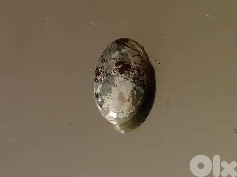 فيروز  ايراني طبيعي 1