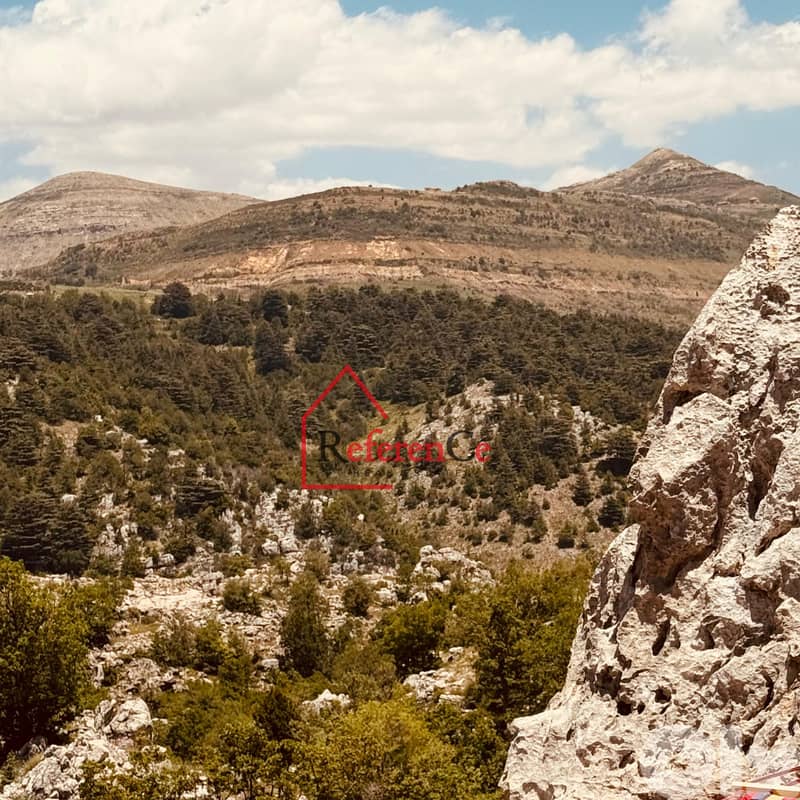Stone Chalets with pools in Tannourine شاليهات حجرية في قلب تنورين 2