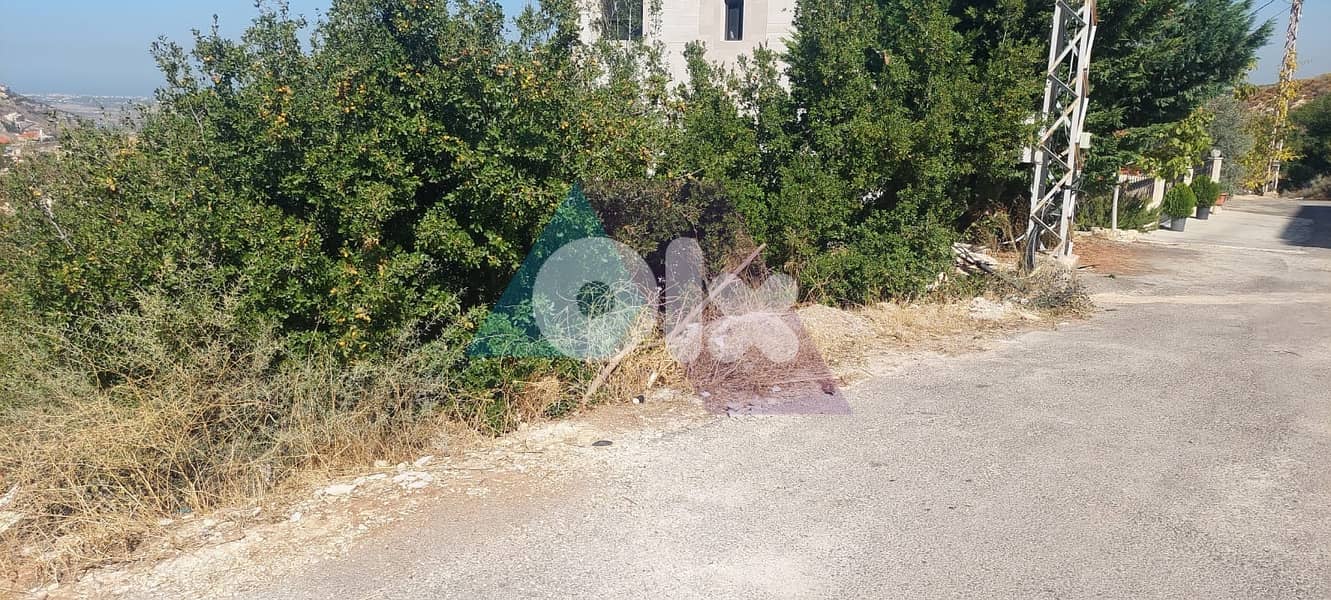 Prime Land+mountain view 4sale in Rechdebine/Koura-أرض للبيع في الكورة 3