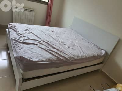 تخت مجوز فدار جديد من المعمل